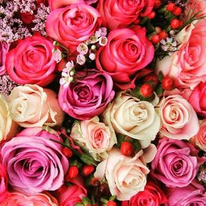 Meet your Posher, Sheena